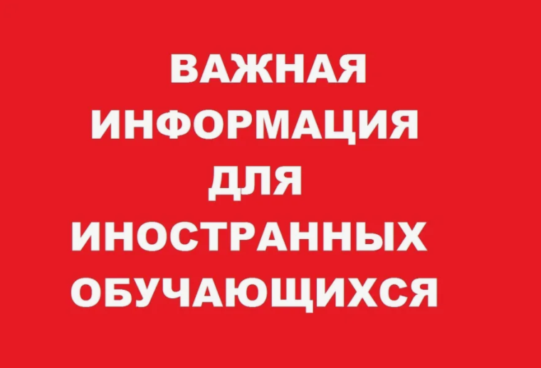 Новые правила приёма в школы для иностранных граждан с 1 апреля 2025 года.